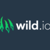 Wild.io Casino